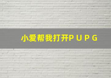 小爱帮我打开P U P G